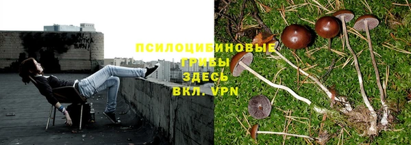 MDMA Нефтекумск